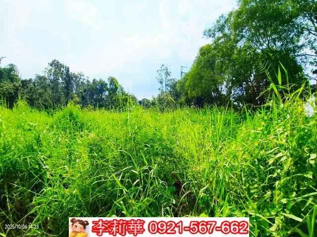 台南白河農地-10