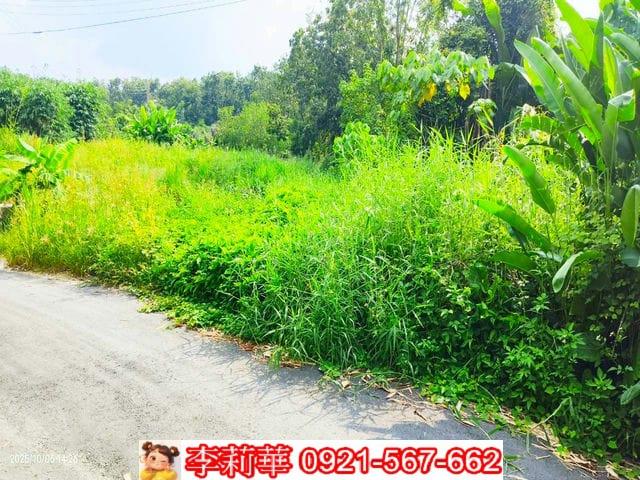 台南白河農地-7