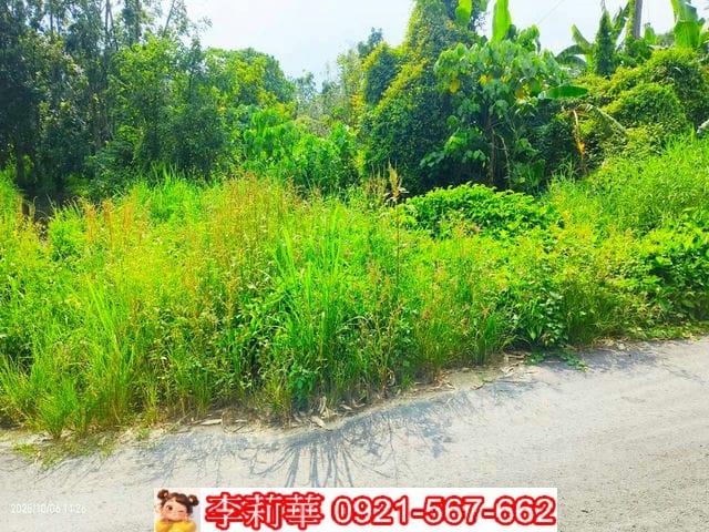 台南白河農地-8