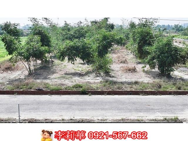 台南西港農地-1