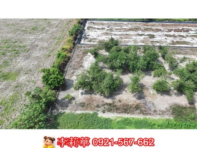 台南西港農地-2