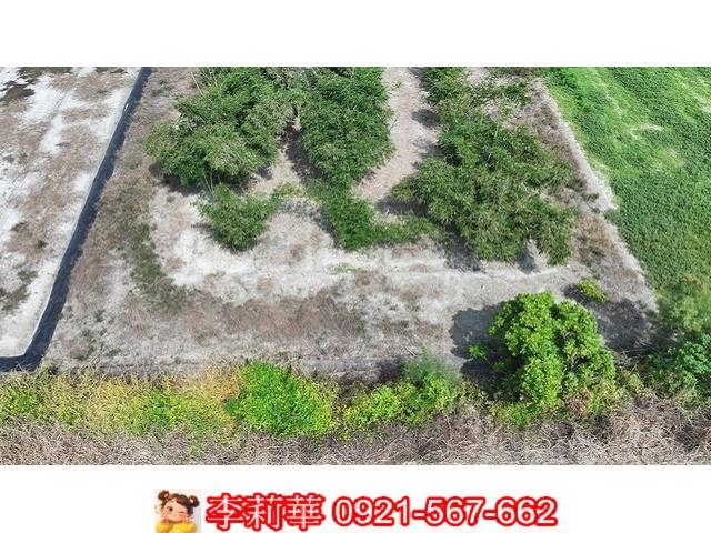 台南西港農地-3