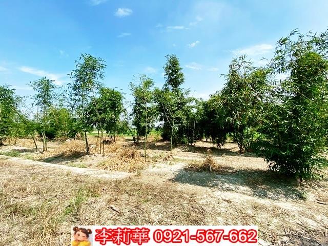 台南西港農地-7