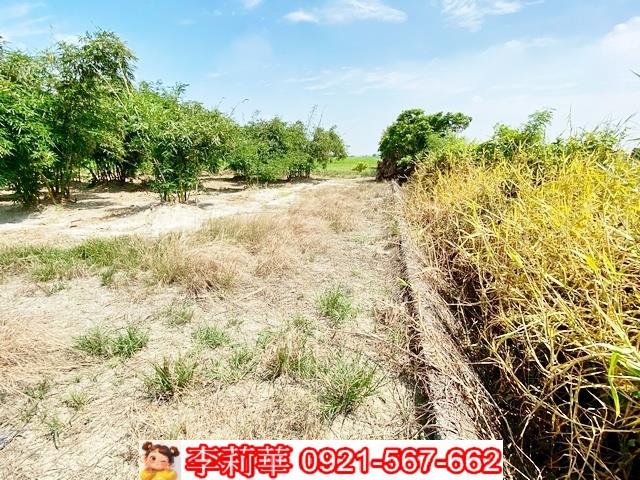 台南西港農地-9