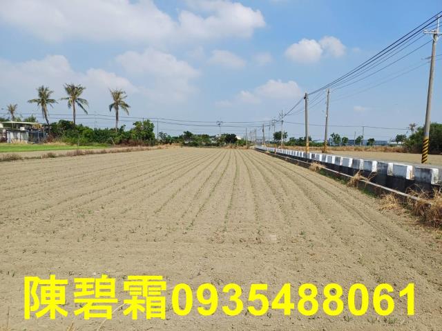 西港農地-3