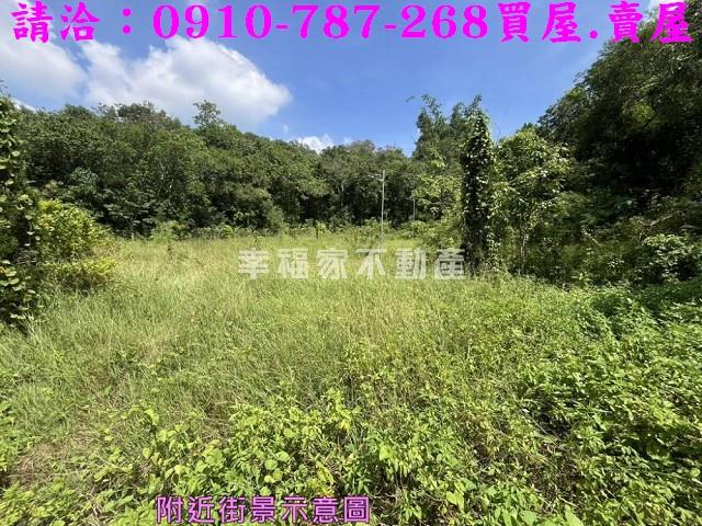 台南農地-4