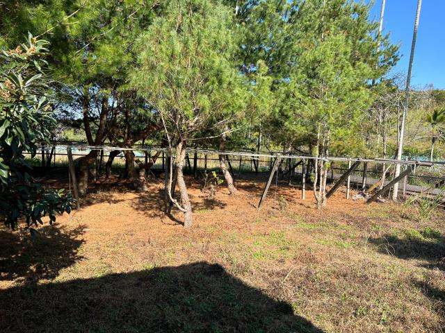 台中東勢農地-3