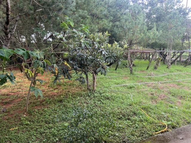 台中東勢農地-1