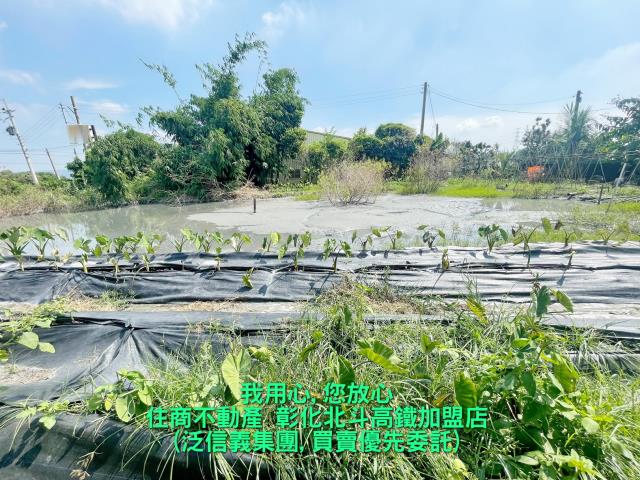 彰化田尾農地-2