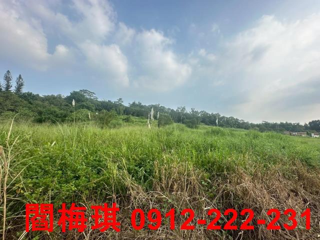 台南新化農地-1