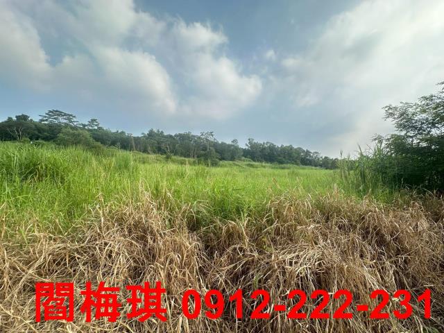 台南新化農地-2