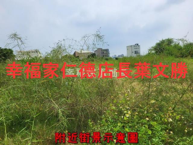 安南農地-6