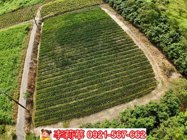 台南歸仁農地-10