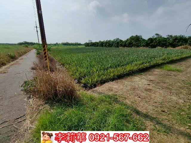 台南歸仁農地-3