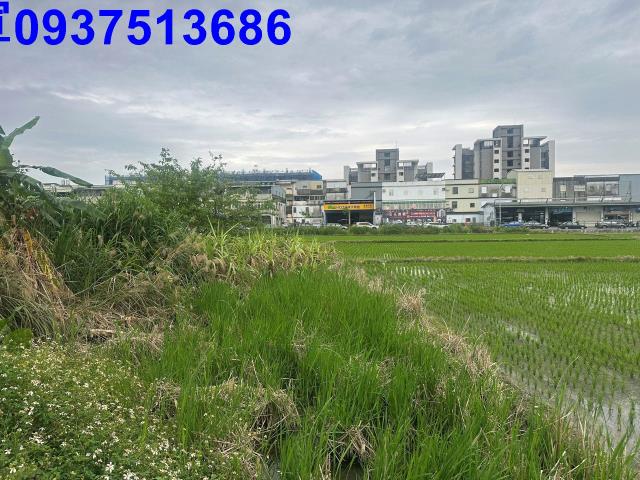 宜蘭宜蘭市道路地-15