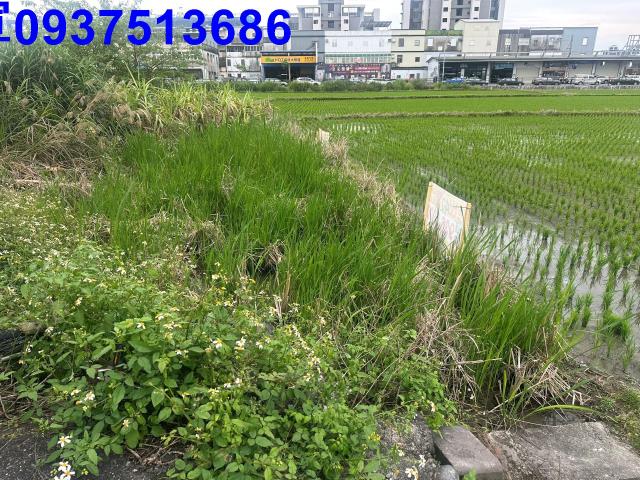 宜蘭宜蘭市道路地-3