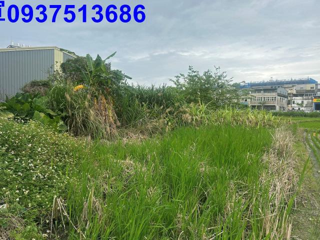 宜蘭宜蘭市道路地-7