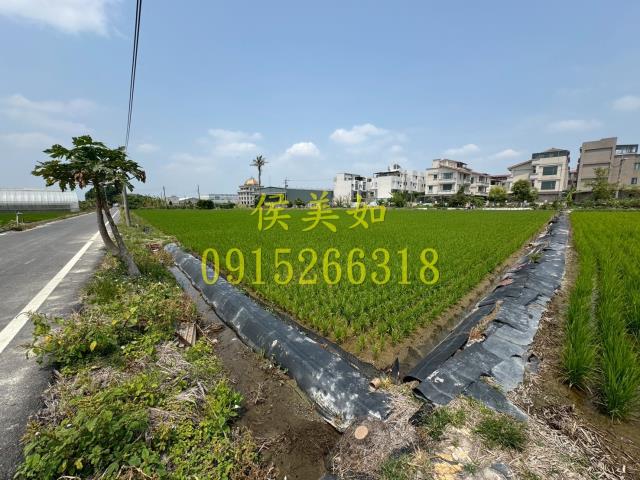 太保農地-4