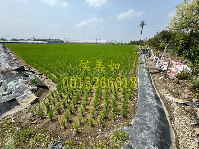太保農地-5