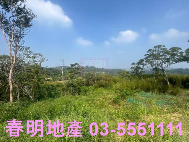 苗栗市農地-5
