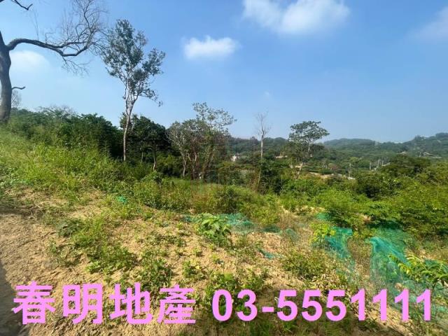苗栗市農地-6
