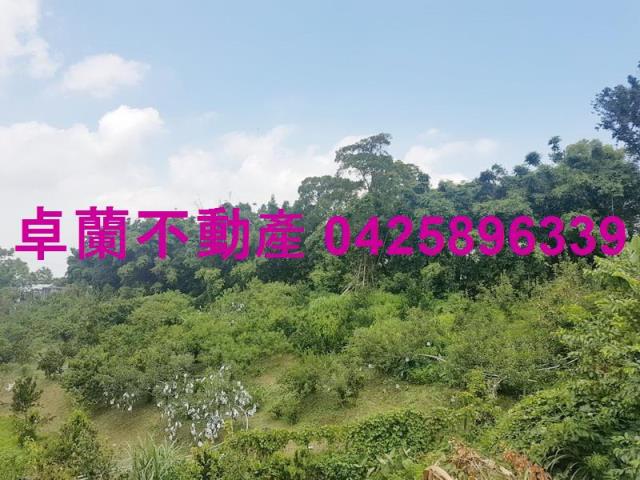卓蘭農地-5