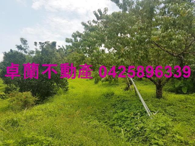 卓蘭農地-6
