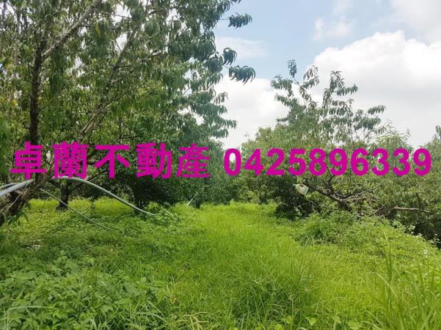 卓蘭農地-7