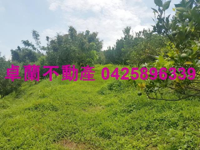 卓蘭農地-9