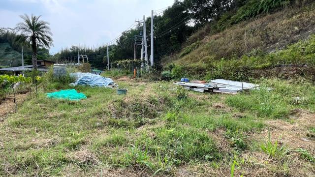 新竹寶山農地-8