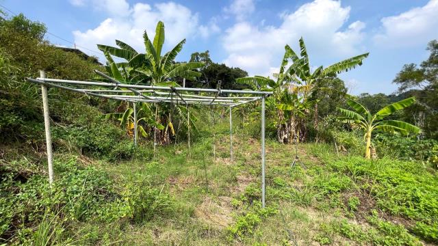 新竹寶山農地-3