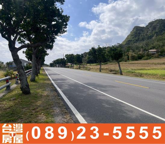 台東成功農地-5