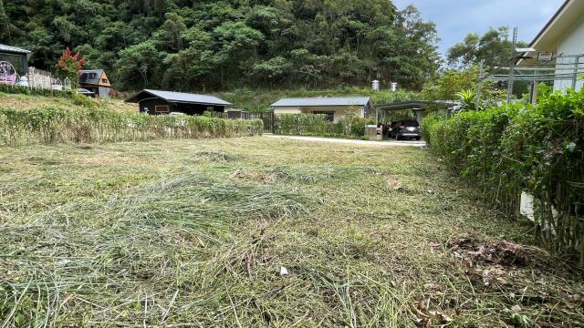 新竹寶山農地-6