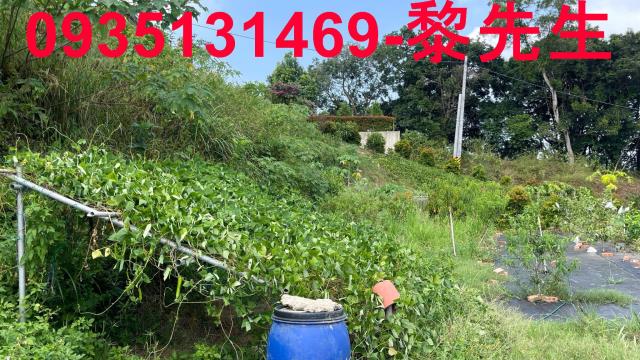 新竹寶山農地-11