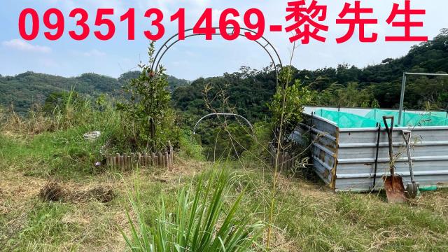 新竹寶山農地-5