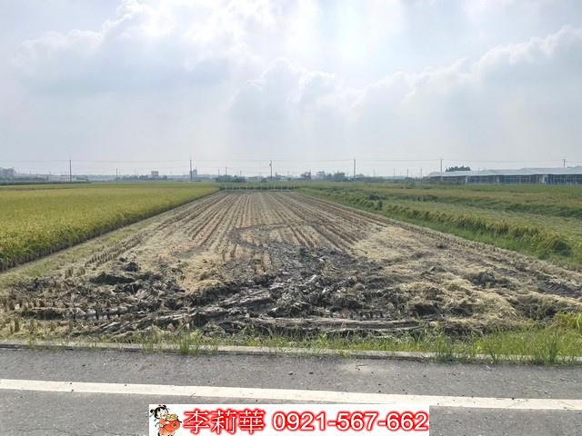 柳營農地-6