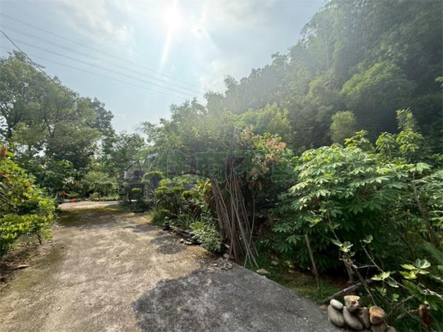 高雄農地-11