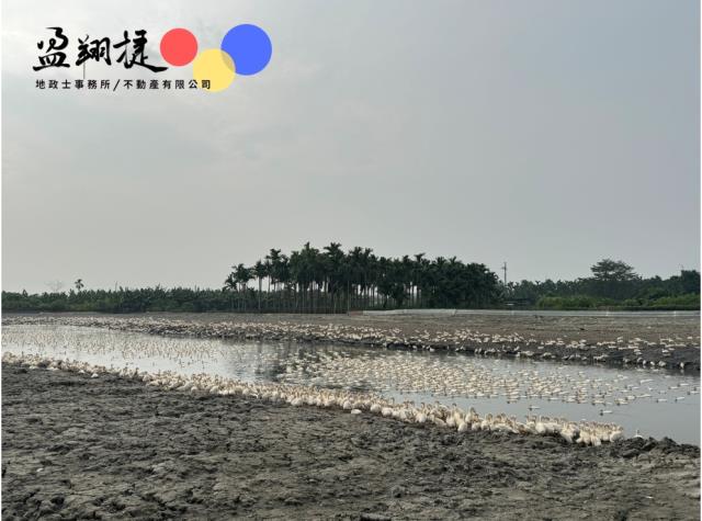屏東農地-1