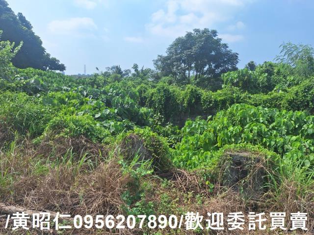 台南歸仁農地-8