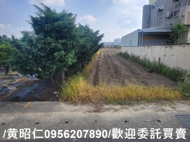 台南新市農地-6