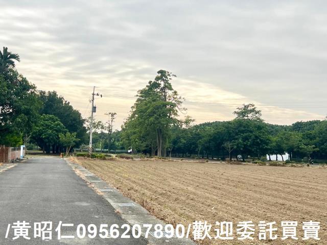 台南後壁農地-10