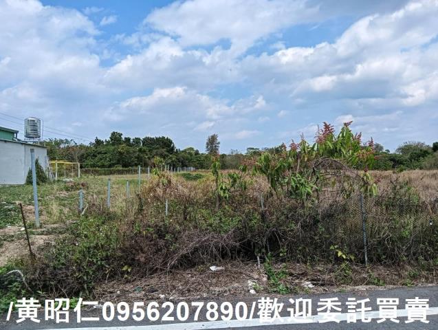 台南大內農地-1