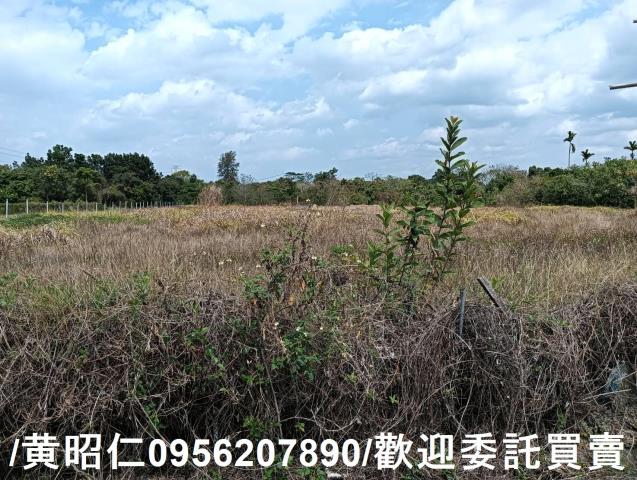 台南大內農地-2