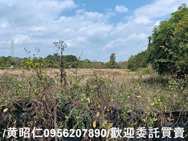 台南大內農地-3