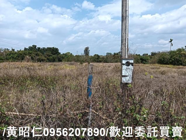 台南大內農地-4