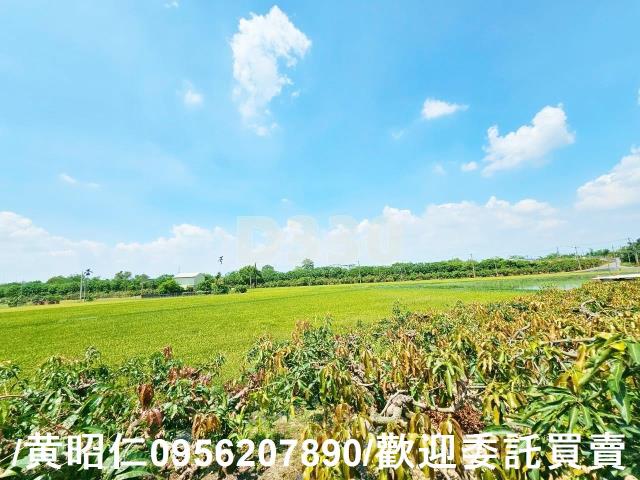 台南官田農地-4
