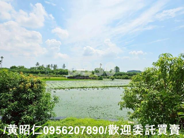 台南官田農地-7