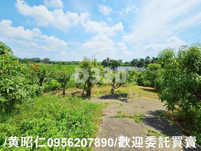 台南官田農地-8