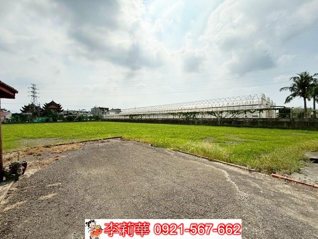 新營農地-11