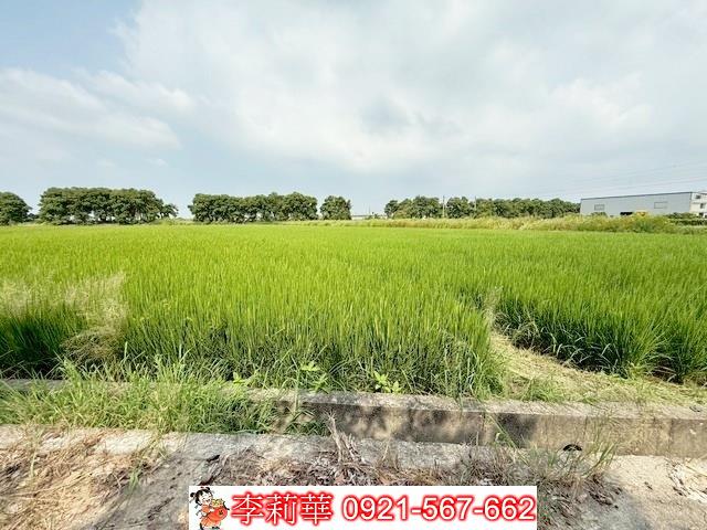 新營農地-8